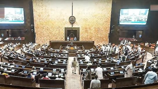 Indian Parliament during Vice President Election 2025